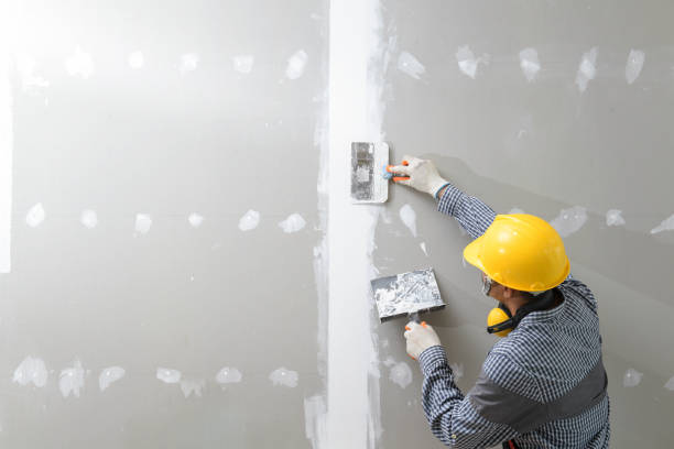Best Basement Mold Removal  in Blythewood, SC