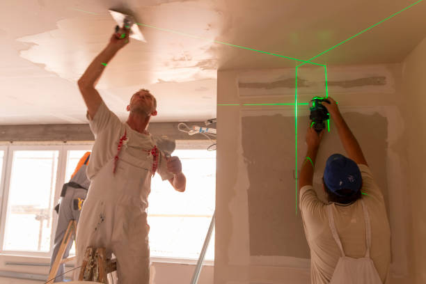 Blythewood, SC Mold Removal Company