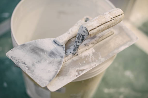 Best HVAC Mold Inspection and Cleaning  in Blythewood, SC